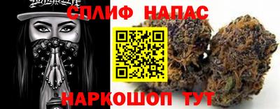 прущие грибы Камышлов