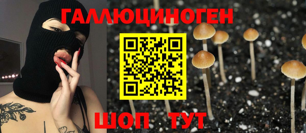Псилоцибиновые грибы мухоморы Кандалакша